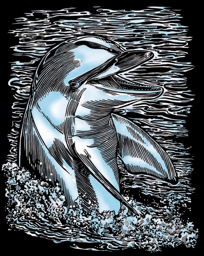 Набор для творчества Sequin Art Artfoil Silver Dolphin SA0608 - фото 2