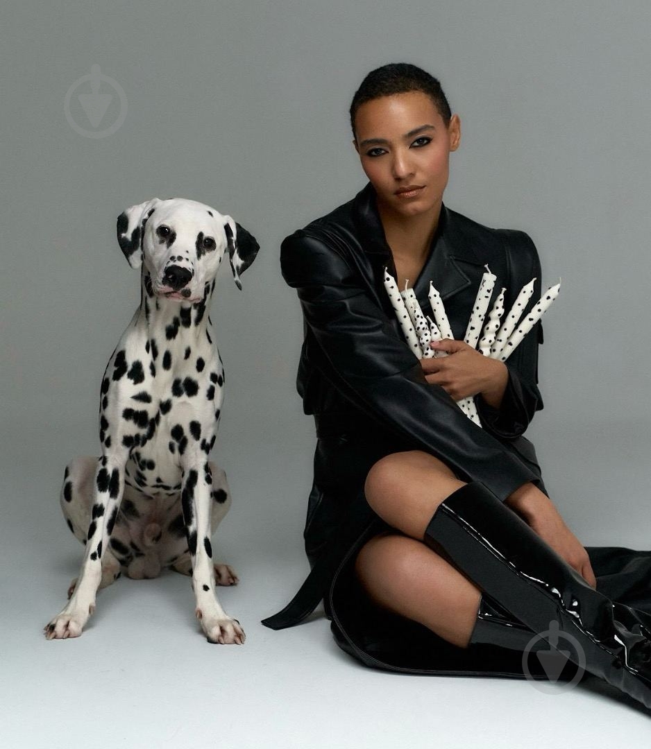 Набор FIRE RABBIT Далматинцы - фото 3