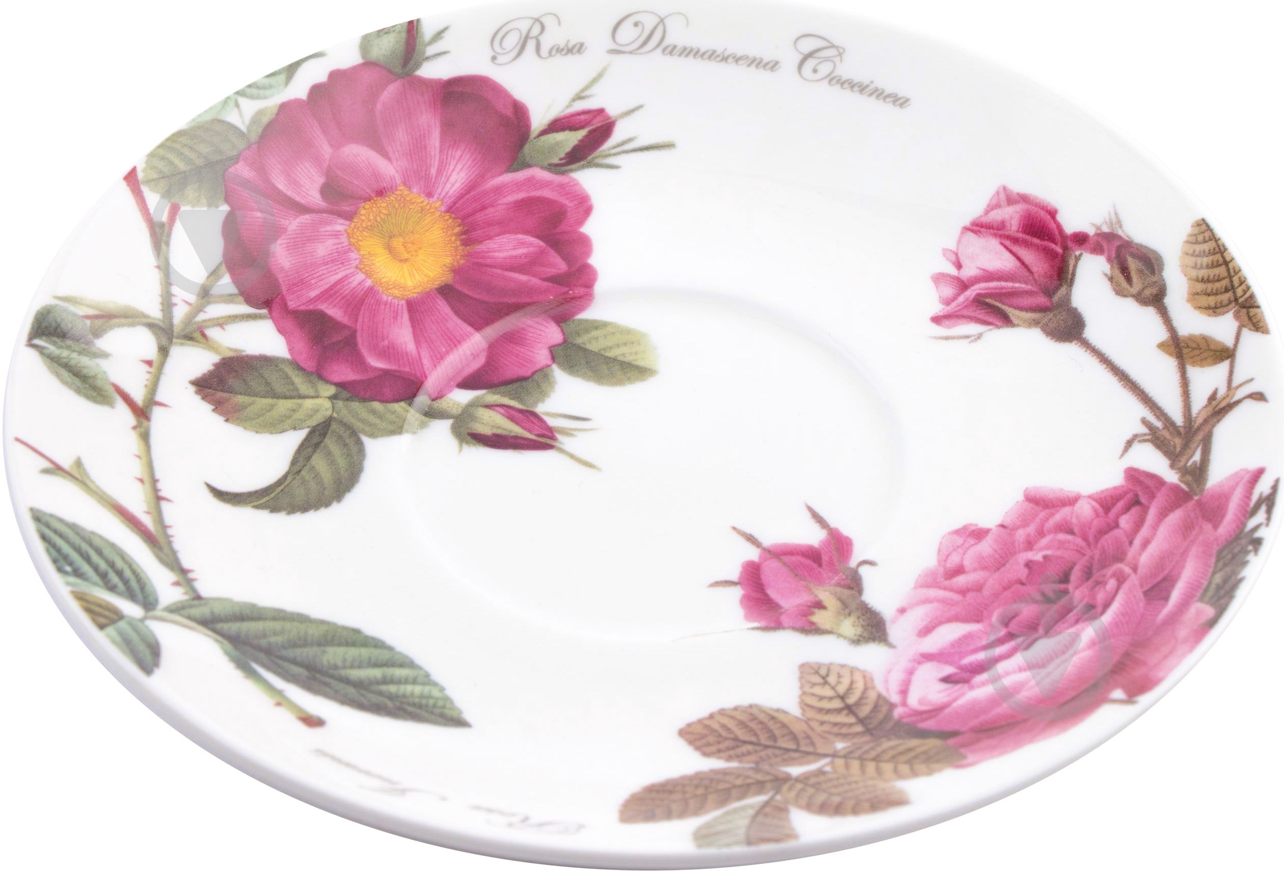 Чашка с блюдцем Dunoon Blenheim 450 мл 18443 - фото 2