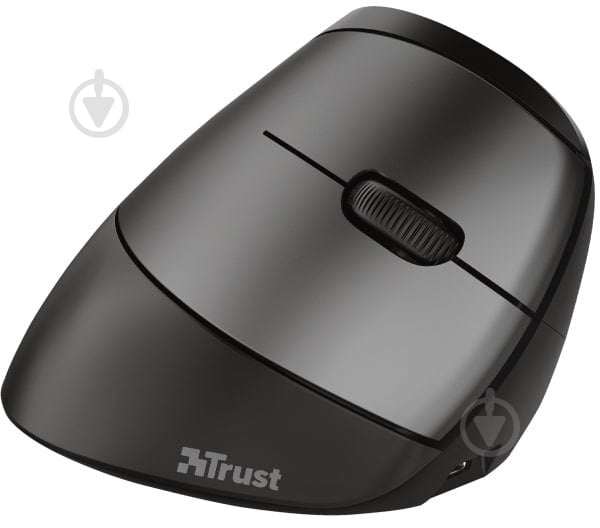 Мышь Trust Ergonomic Rechargeable WL black (24110) - фото 1