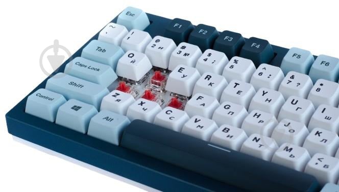 Клавиатура Montech USB TKL FB (MK87FB) blue/white - фото 4