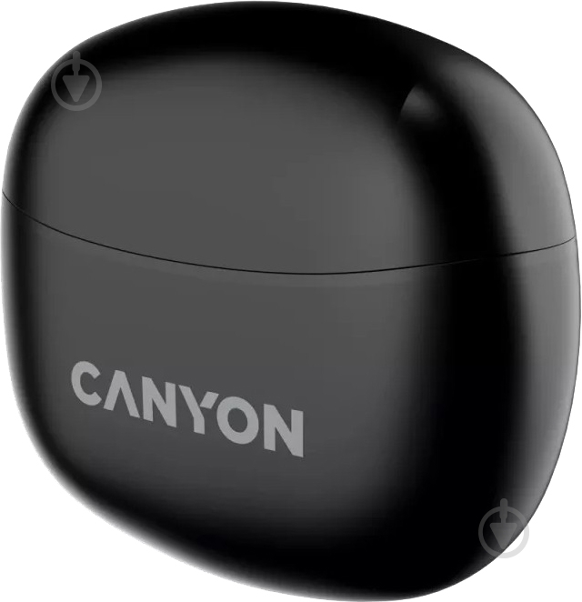 Наушники Canyon TWS-5 Bluetooth black (CNS-TWS5B) - фото 4
