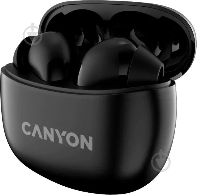 Наушники Canyon TWS-5 Bluetooth black (CNS-TWS5B) - фото 2