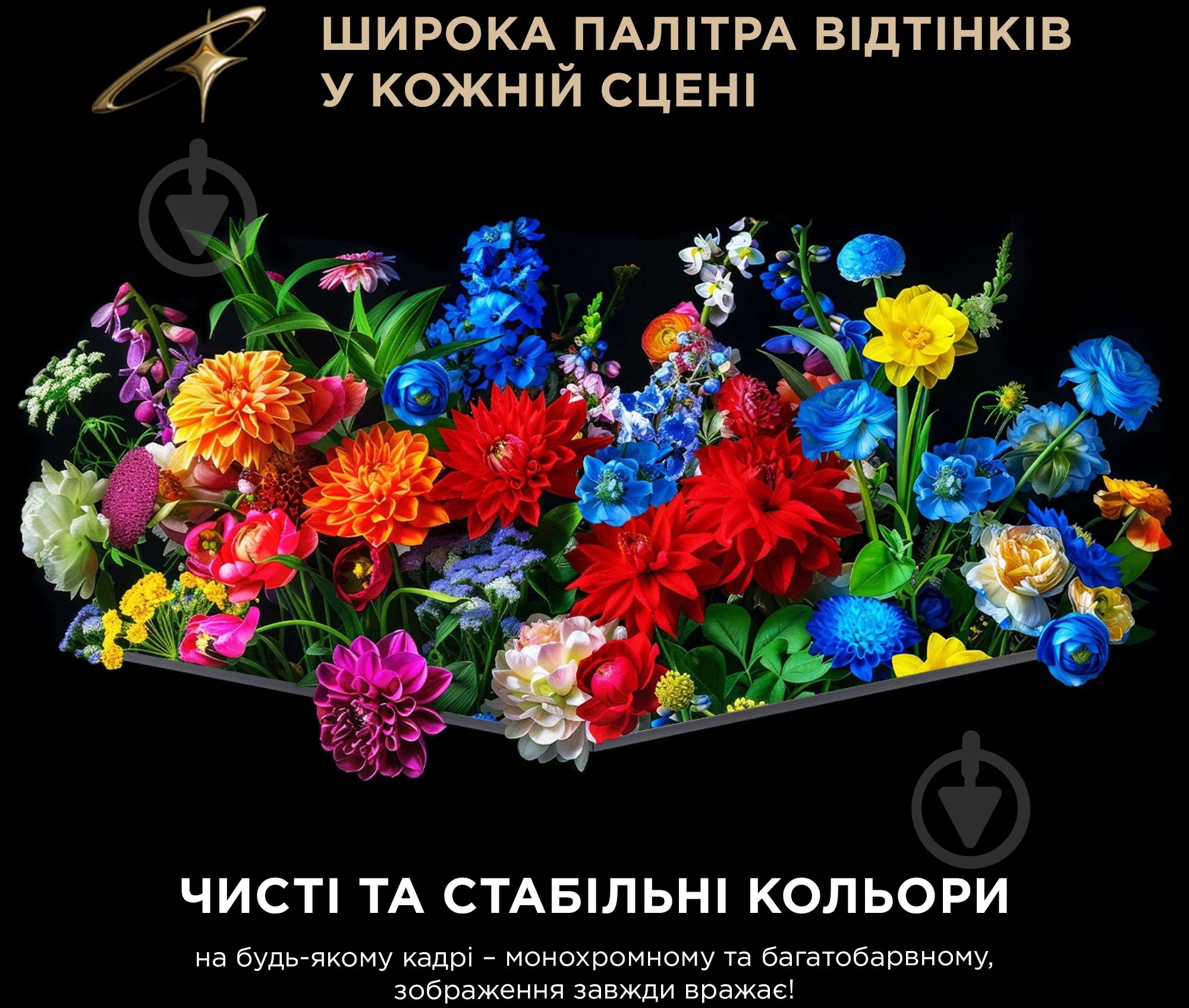 Телевизор TCL 55C8L 55″ - фото 15
