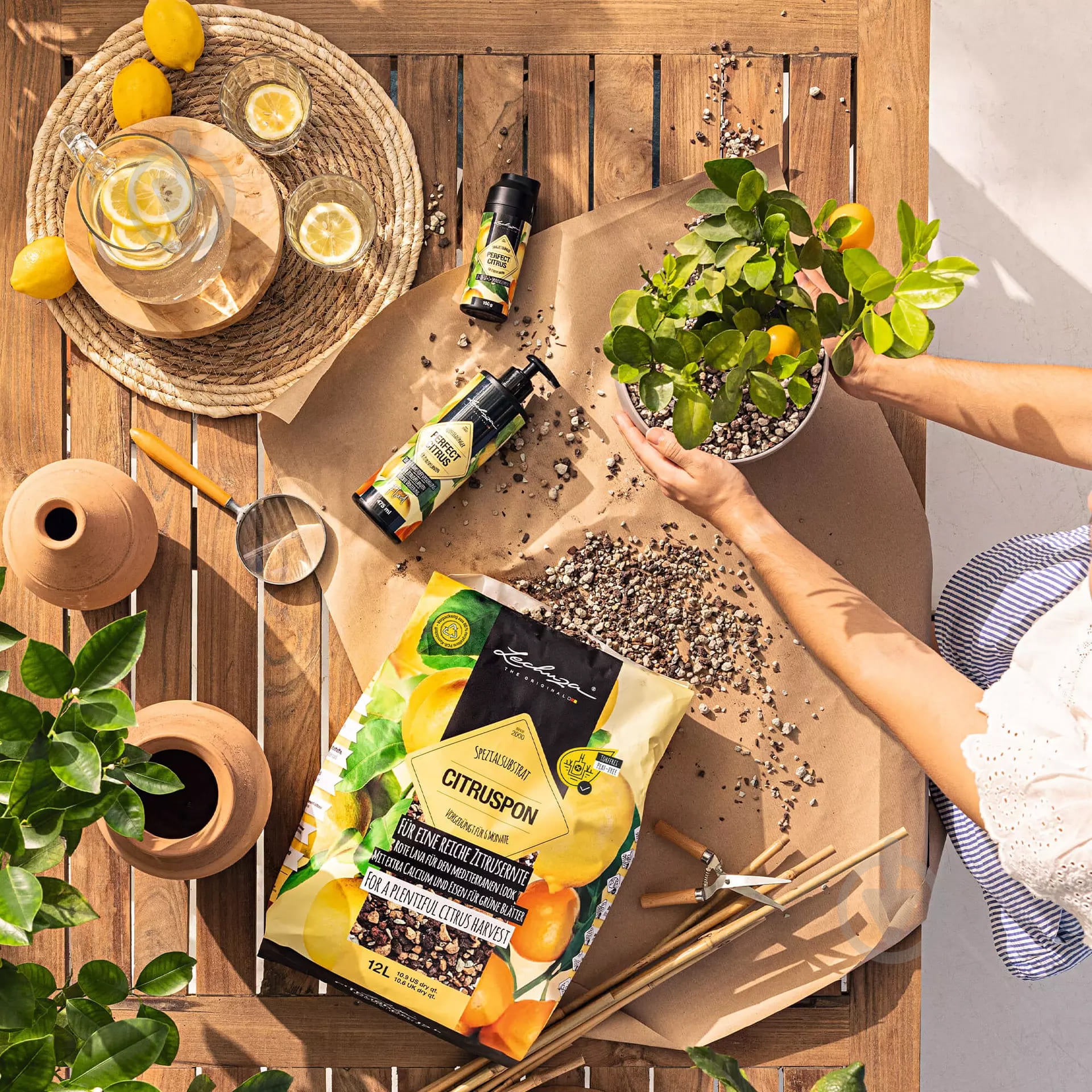 Субстрат Lechuza CITRUSPON 12 л - фото 11