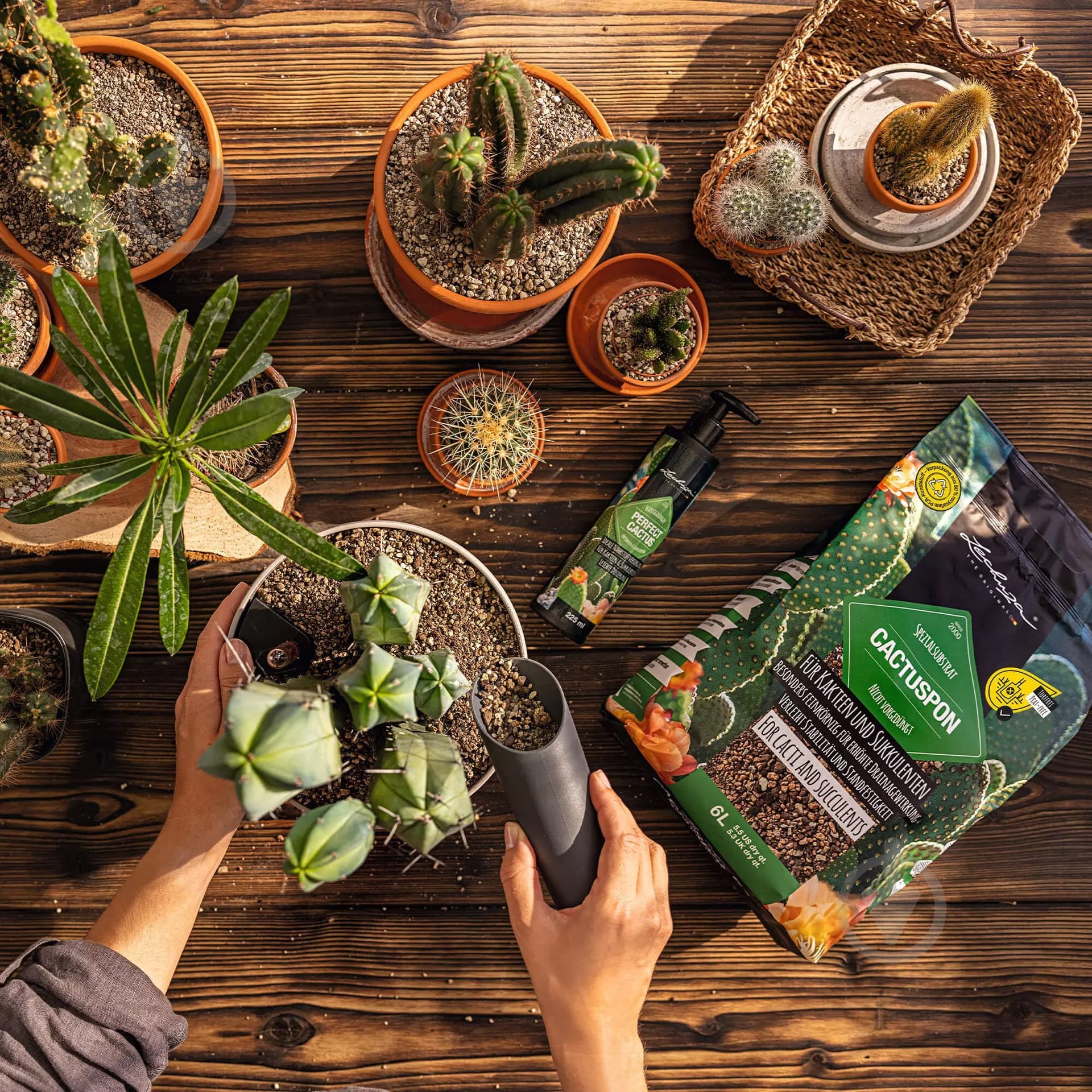 Субстрат Lechuza CACTUSPON 3 л - фото 11