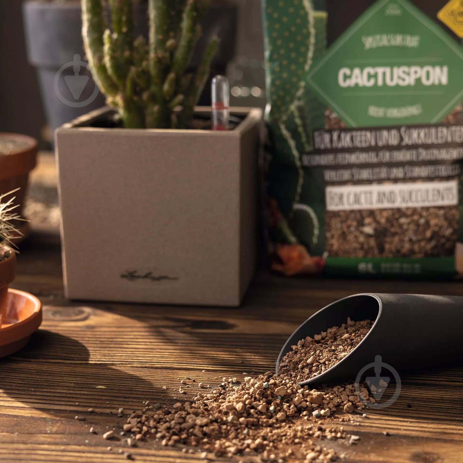 Субстрат Lechuza CACTUSPON 3 л - фото 12