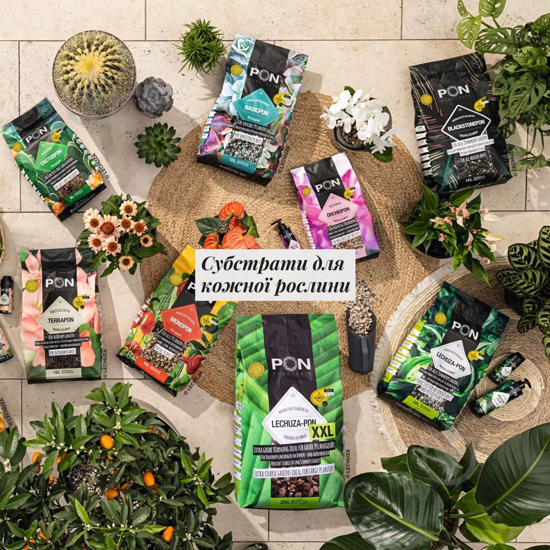 Субстрат Lechuza MONOPON 6 л - фото 8