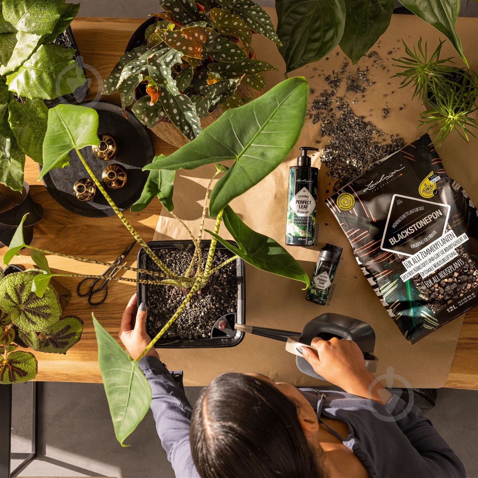 Субстрат Lechuza BLACKSTONEPON 6 л - фото 12