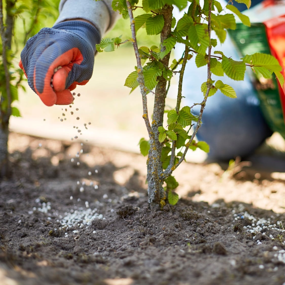 Добриво Compo TURBO® швидкодіюче 4 кг - фото 13