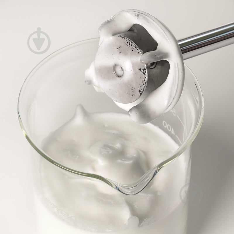 Блендер погружной Bamix SwissLine M250 (100.495) - фото 9