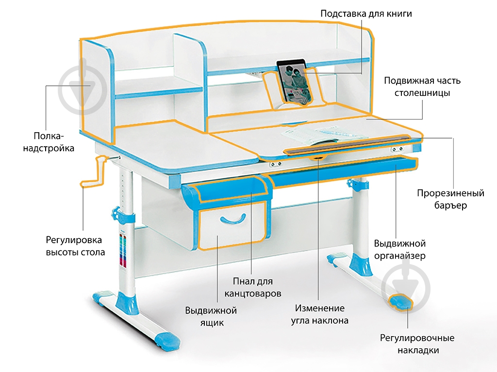 Детский стол Evo-kids Evo-50 BL - фото 10