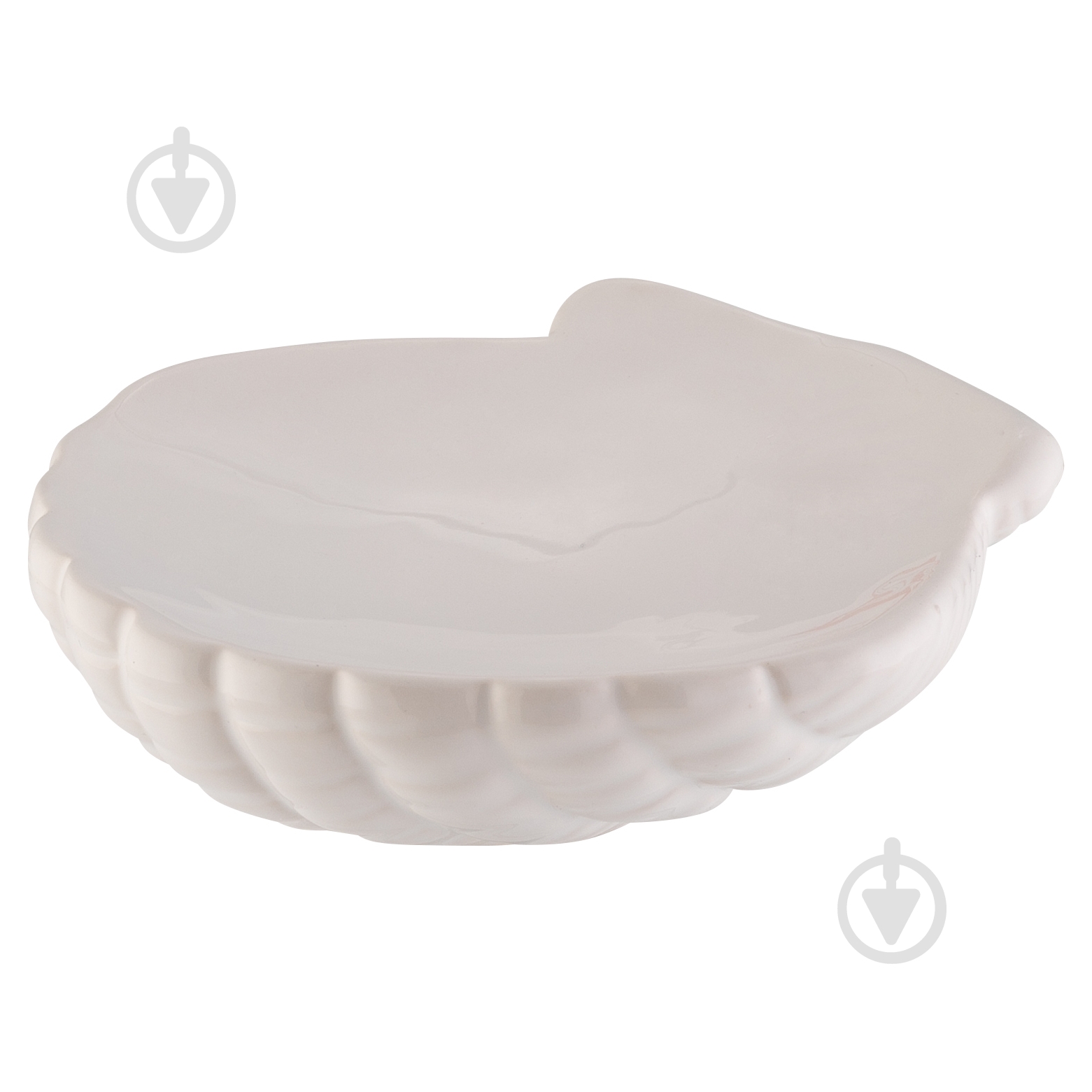 Мыльница Axentia Ракушка доломит белая 132824 - фото 1 Мыльница Axentia Ракушка доломит белая 132824 - фото 1