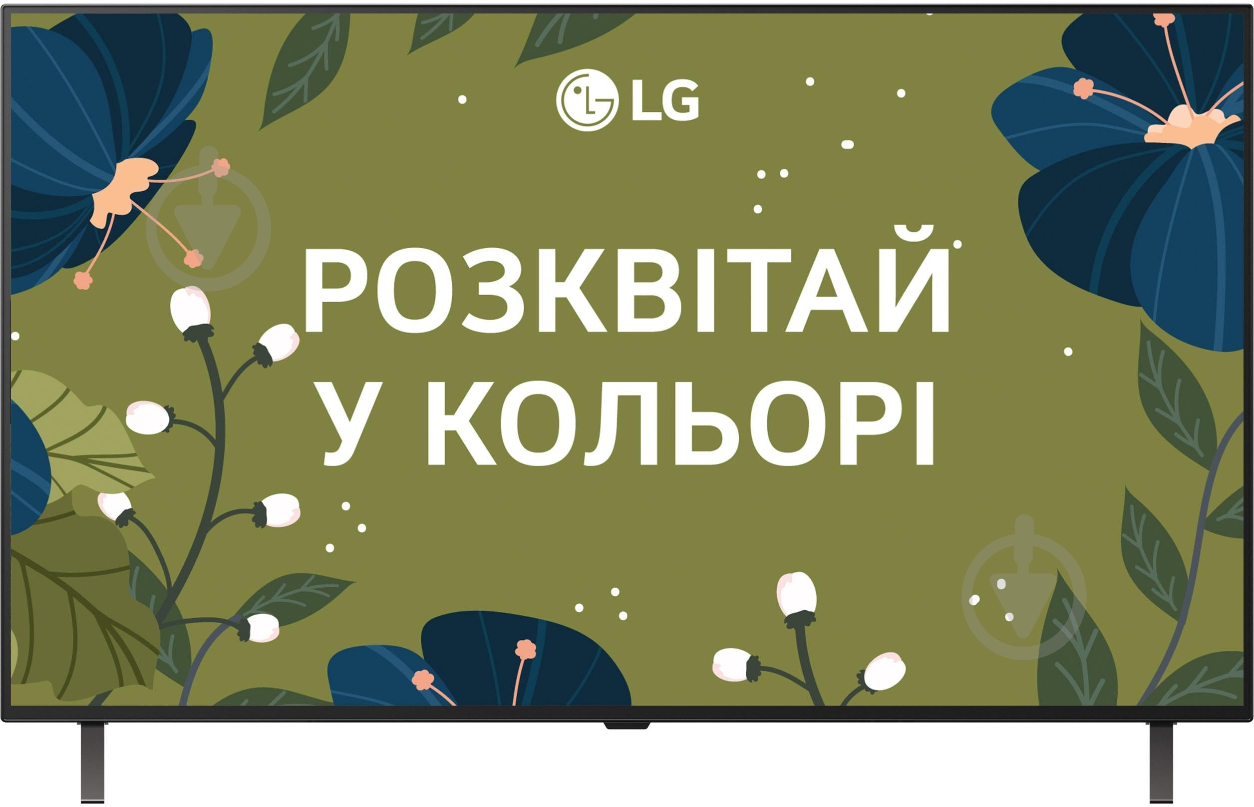 Телевизор LG OLED48B56LA - фото 1