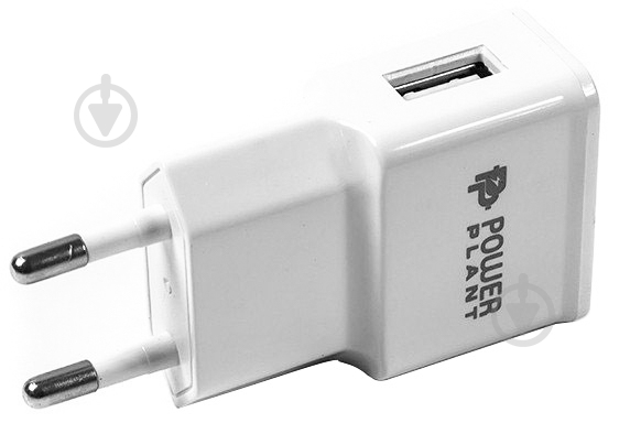 Сетевое зарядное устройство PowerPlant - фото 1