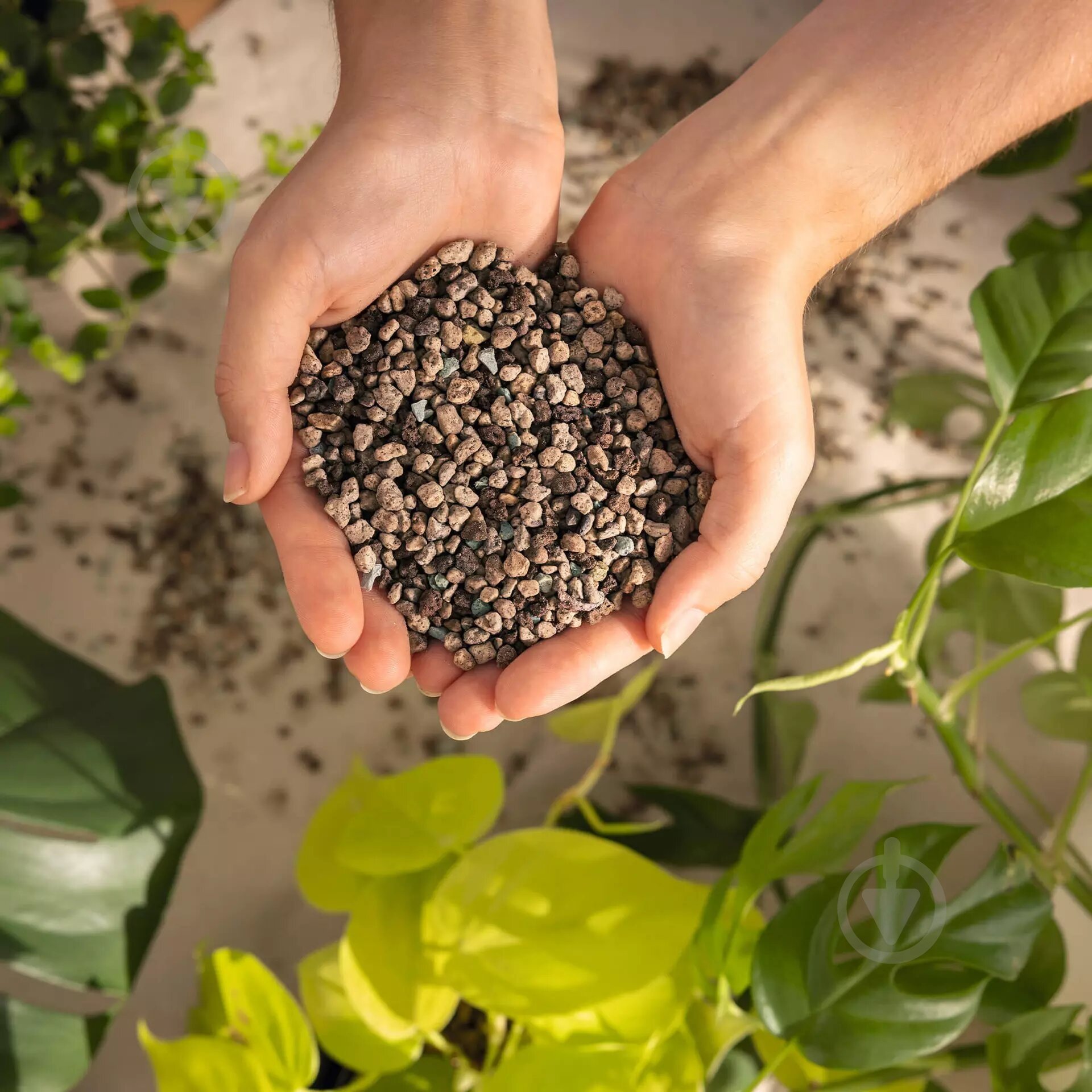 Субстрат универсальный Lechuza Pon 12 л - фото 3 Субстрат универсальный Lechuza Pon 12 л - фото 3