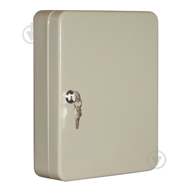 Сундучок TS0052 (300x240x80) - фото 1