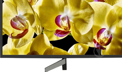 Телевизор Sony KD49XG8096BR - фото 4