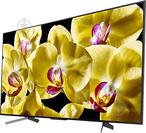 Телевизор Sony KD49XG8096BR - фото 3