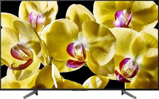 Телевизор Sony KD65XG8096BR2 - фото 1