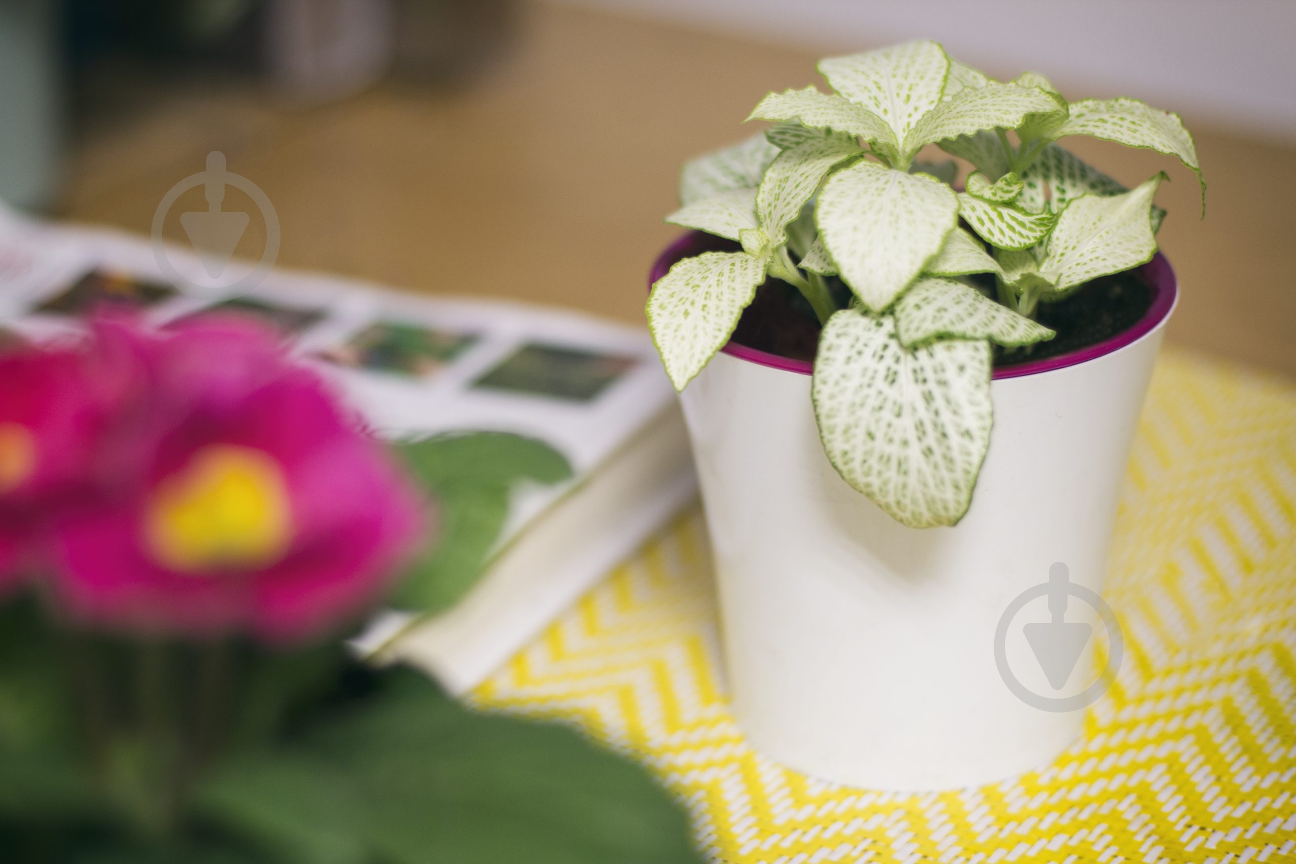 Вазон пластик Arte круглый белый с лиловым 0,6 л Santino (2004000) - фото 4