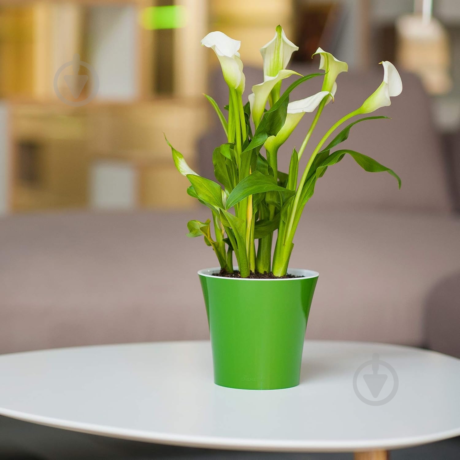 Вазон пластик Arte круглий біло-золотий 0,6 л Santino (2004352) - фото 5