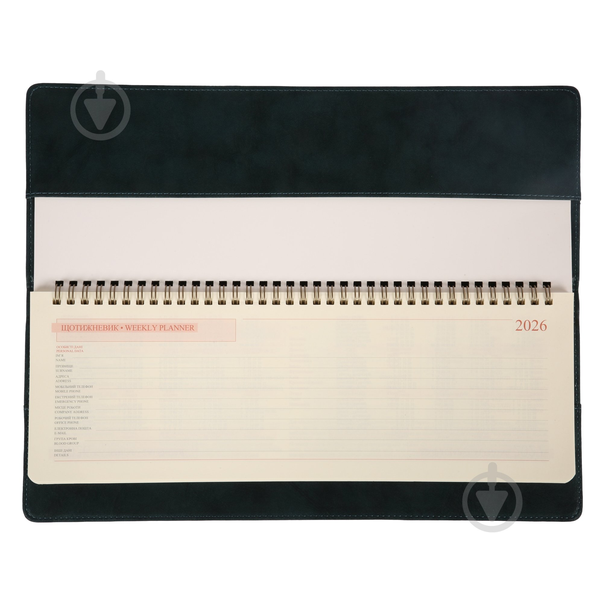 Еженедельник датированный настольный 34х13 см Case Leo Planner A4 2026 252678 зеленый - фото 3