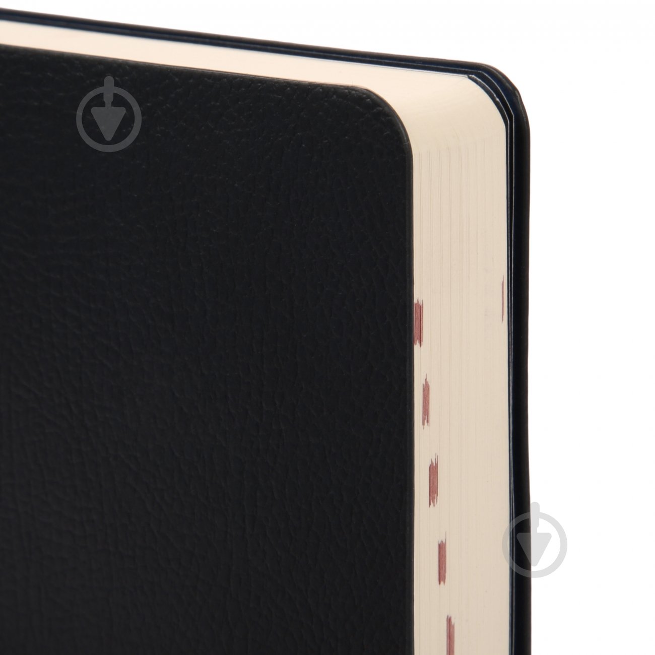 Дневник датированный 12х20 см Alpha Leo Planner B5 252629 синий - фото 2