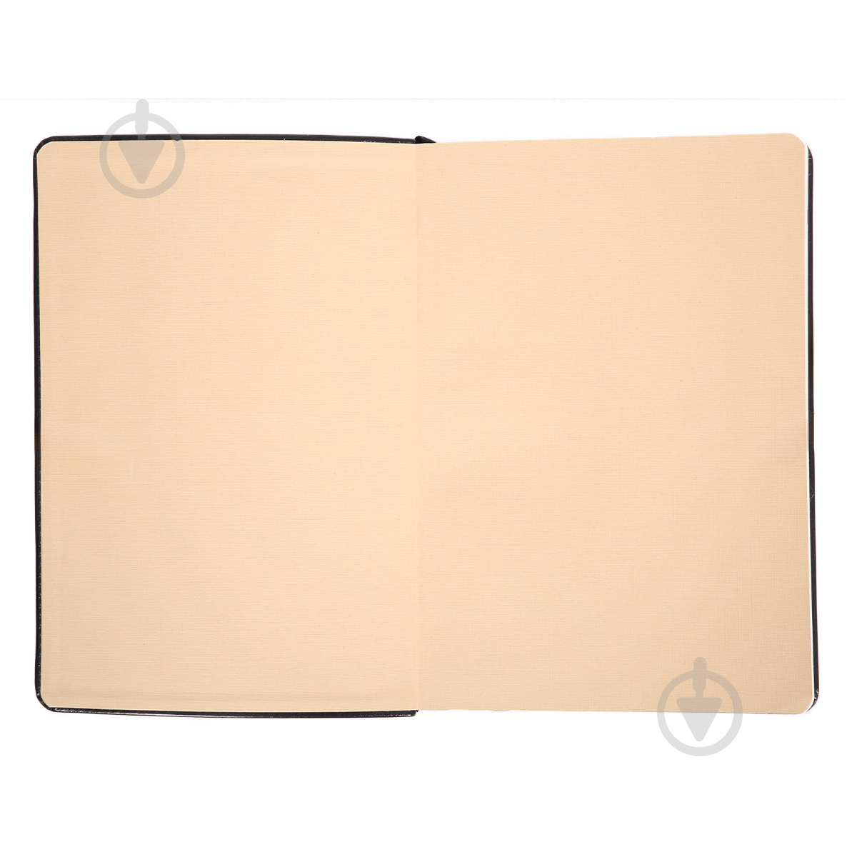 Дневник датированный Aldento Leo Planner A5 252672 синий - фото 3
