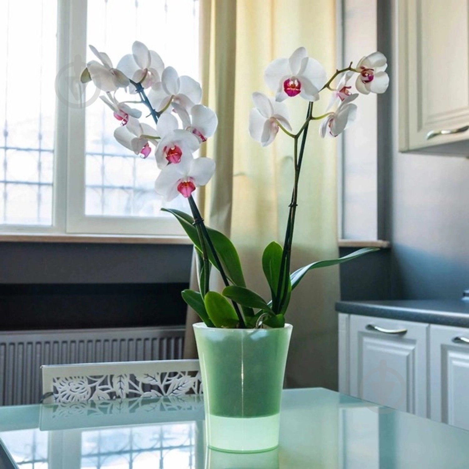 Вазон пластик Arte-Dea круглый бледно-зеленый 1,25 л Santino (2017055) - фото 3