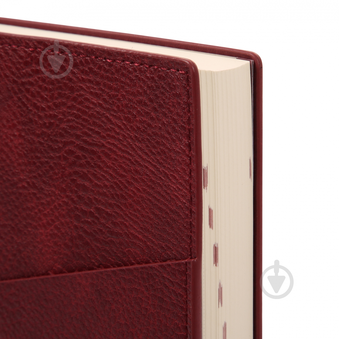 Дневник датированный Credo Leo Planner A5 252645 красный - фото 2