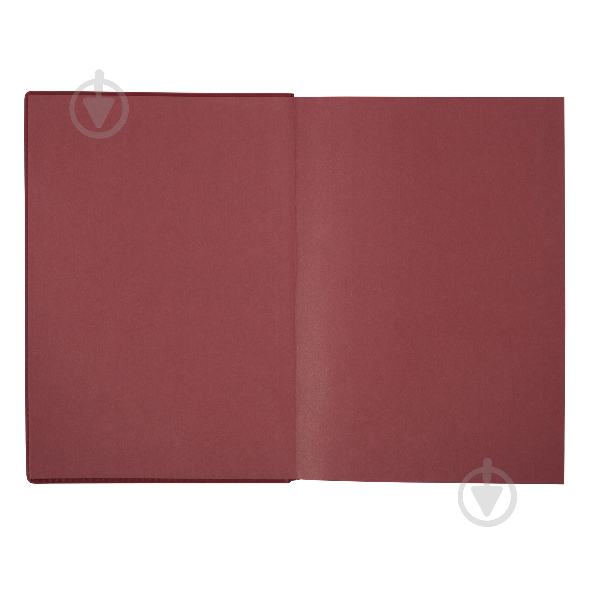 Дневник датированный Credo Leo Planner A5 252645 красный - фото 5