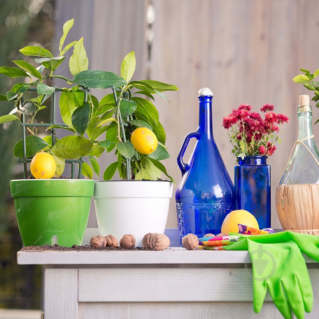 Вазон пластик Asti круглый зеленое золото 1,4 л Santino (2021564) - фото 4