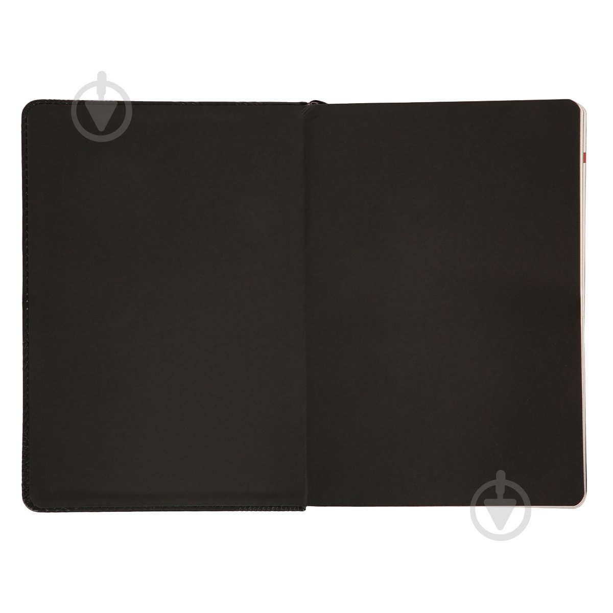 Дневник датированный Enigma, мягкий Leo Planner A5 252700 черный - фото 3