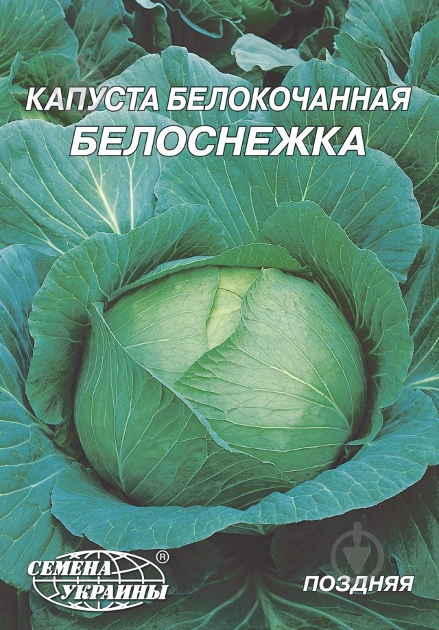 Семена капуста белокочанная Белоснежка 10 г Насіння України - фото 1 Семена капуста белокочанная Белоснежка 10 г Насіння України - фото 1