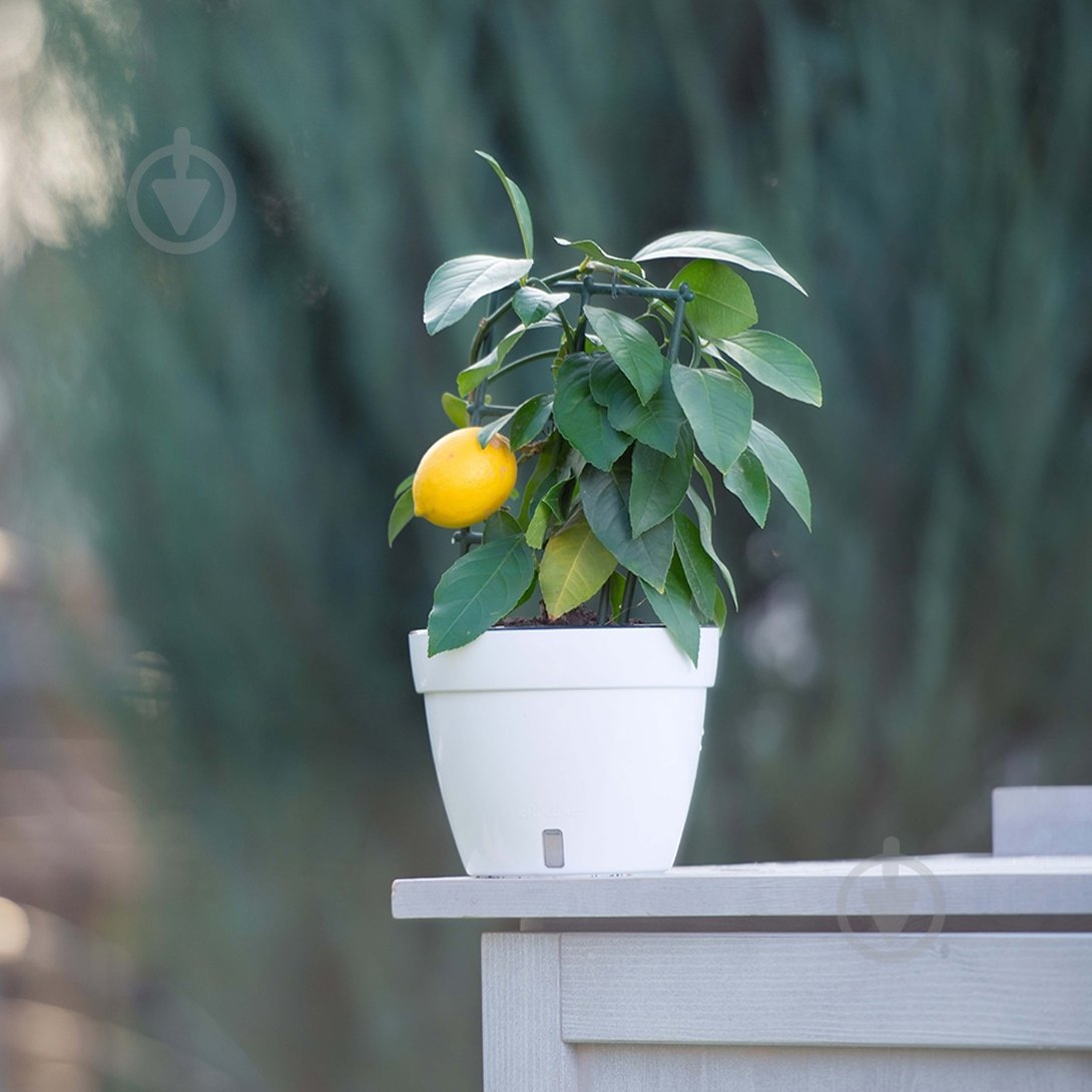 Вазон пластик Asti круглый серо-белый 6 л Santino (2009326) - фото 3 Вазон пластик Asti круглый серо-белый 6 л Santino (2009326) - фото 3