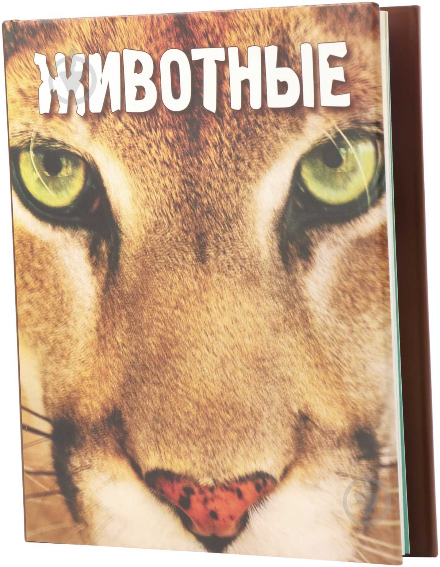 Книга Леон Грей «Животные» 978-966-180-420-2 - фото 1