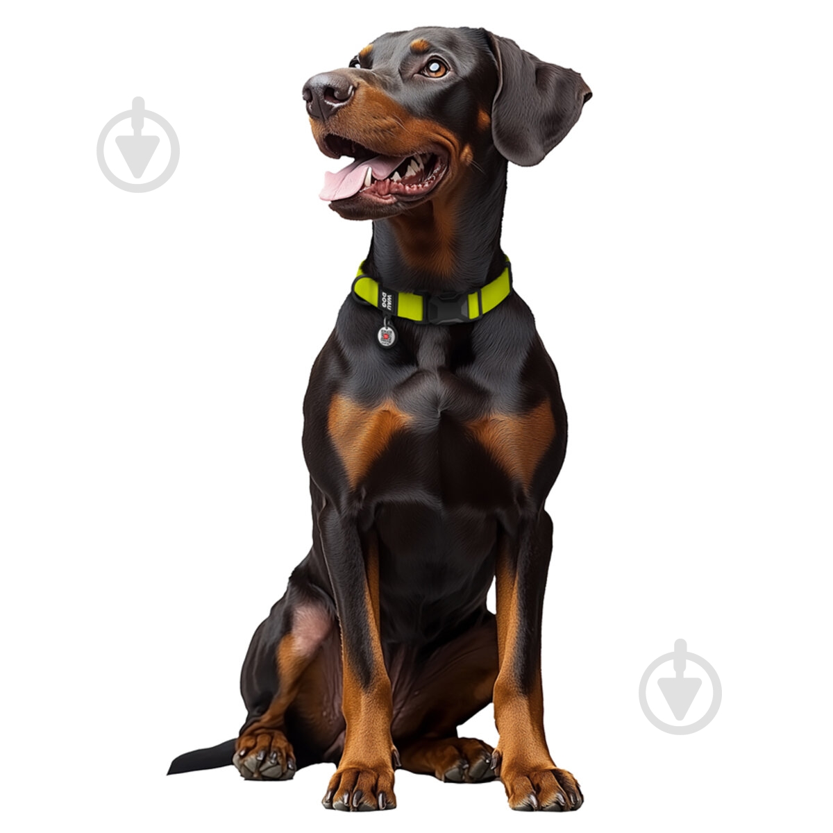 Ошейник WAUDOG Magnet магнитная пряжка-фастекс M Ш20 мм Д28-40 см лимонный - фото 3 Ошейник WAUDOG Magnet магнитная пряжка-фастекс M Ш20 мм Д28-40 см лимонный - фото 3