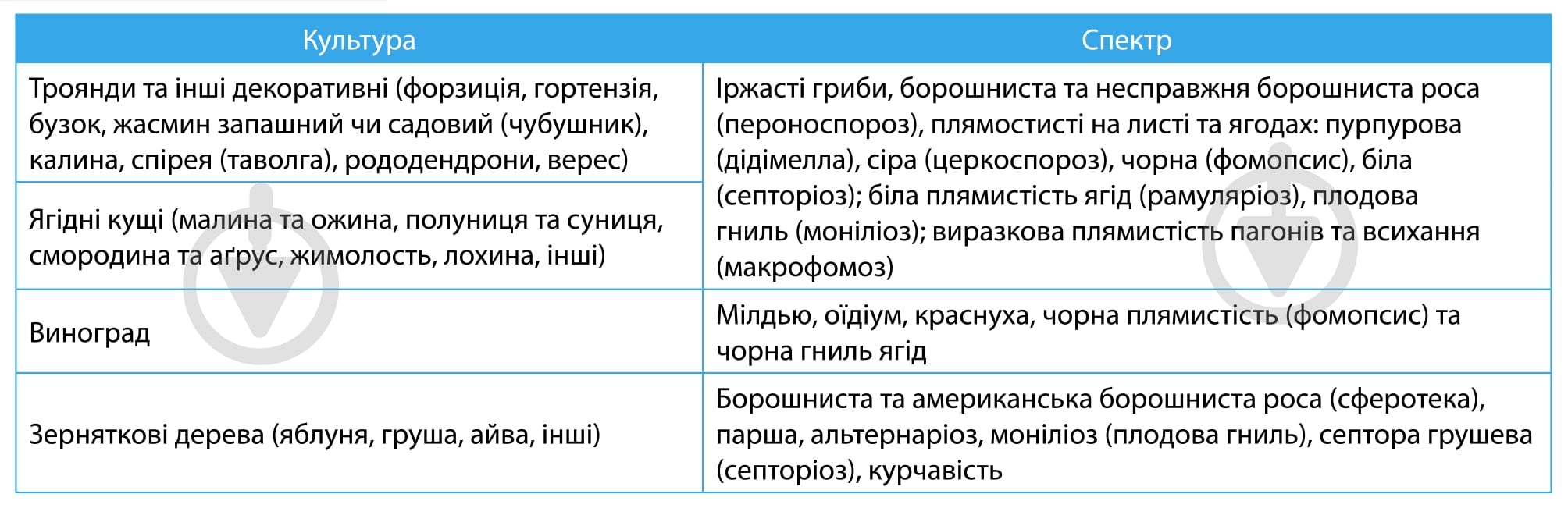 Фунгицид Семейный сад Парацельс к.с. 4 мл - фото 2