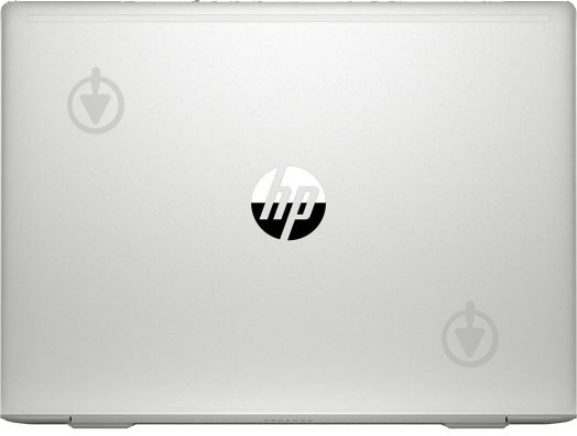 Ноутбук HP ProBook 445 G7 14 (7RX16AV_V5) silver - фото 6