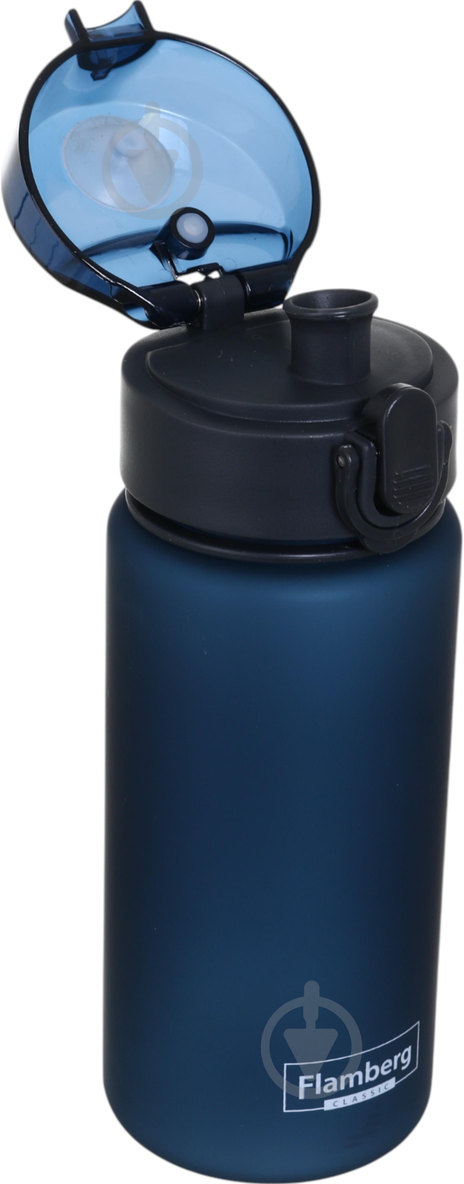 Бутылка для воды Flamberg Raven 450 мл синий - фото 4