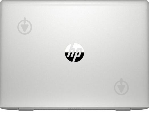 Ноутбук HP ProBook 445 G7 14 (7RX17AV_V13) silver - фото 6