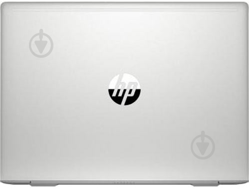 Ноутбук HP ProBook 445 G7 14 (7RX17AV_V11) silver - фото 7