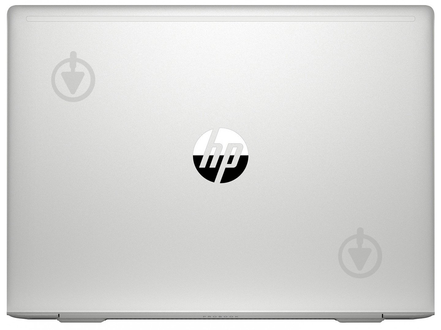 Ноутбук HP ProBook 445 G7 14 (7RX18AV_V4) silver - фото 5