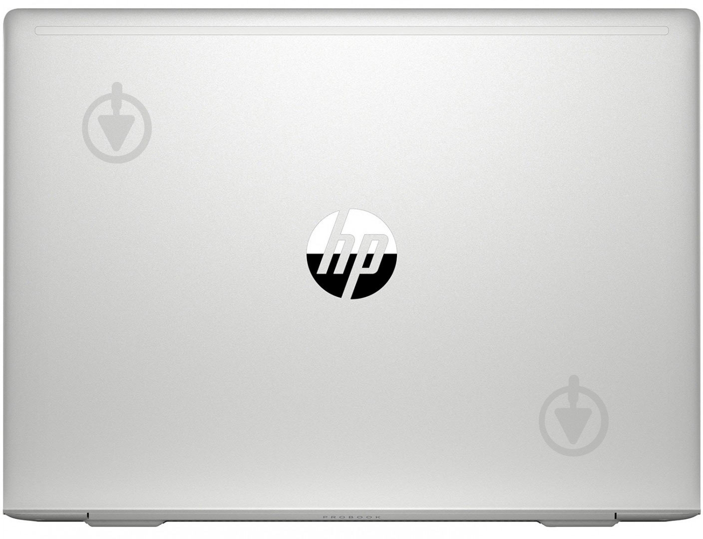 Ноутбук HP ProBook 445 G7 14 (7RX18AV_V10) silver - фото 6
