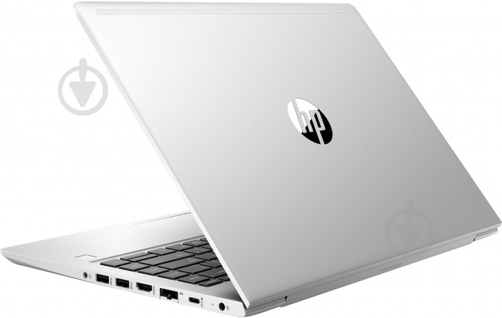 Ноутбук HP ProBook 445 G7 14 (7RX18AV_V2) silver - фото 5