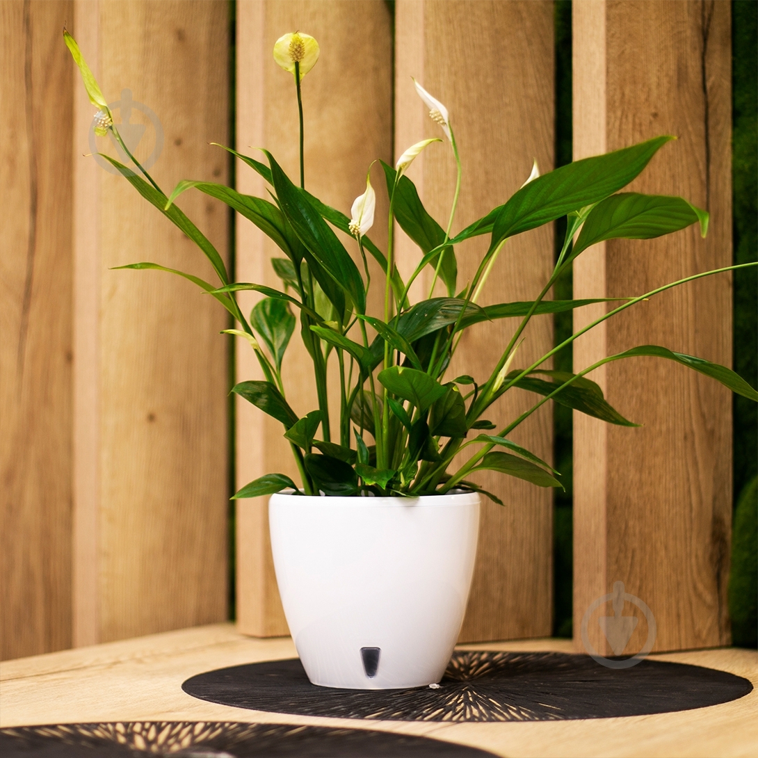 Вазон пластик Deco Twin круглый шаде 12 л Santino (2010650) - фото 7