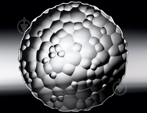 Набор блюд Nachtmann Sphere 2 шт., 25 см. - фото 2 Набор блюд Nachtmann Sphere 2 шт., 25 см. - фото 2