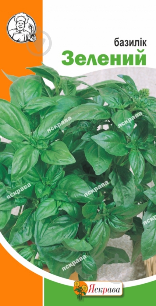 Насіння Яскрава базилік Зелений 0,3 г - фото 1
