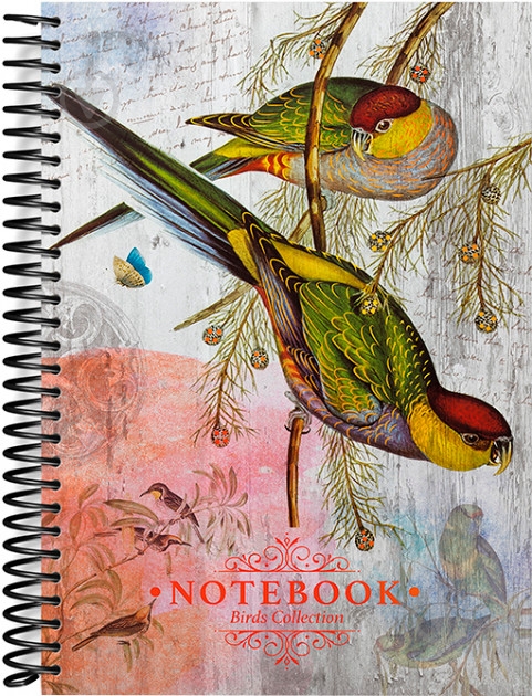 Блокнот Папуги В5 120 аркушів у клітинку (1В1574) Аркуш - фото 1 Блокнот Папуги В5 120 аркушів у клітинку (1В1574) Аркуш - фото 1